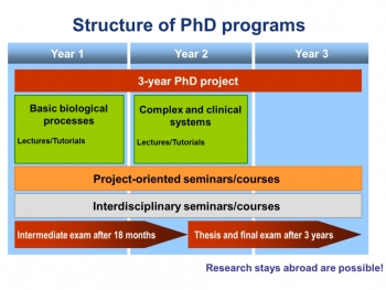 integrated phd programs in europe