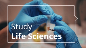 Study Life Sciences at CMCB