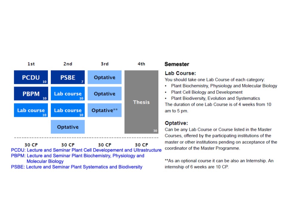 Course programme. Course Lab web объект. Пример заполнения ECTS European credit transfer. ECTS-I Джей. The Master's programme in Law в Чехии.