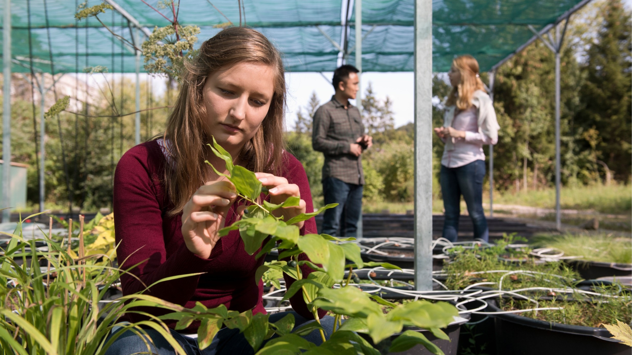 Forest and Ecosystem Sciences (FES)