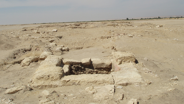 DAAD-Langzeitdozentin Cornelia Römer: Archäologischer Fund in Ägypten