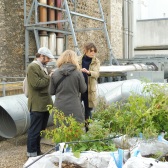 Gemüseanbau auf den Dächern von Paris: Auch das gehört zu den Ideen für eine nachhaltige Stadtentwicklung